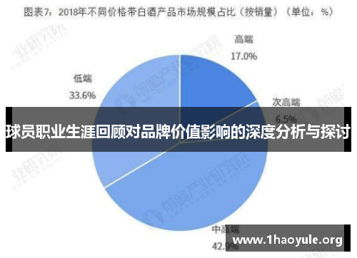 球员职业生涯回顾对品牌价值影响的深度分析与探讨 球员职业生涯回顾对品牌价值影响的深度分析与探讨