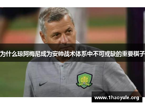 为什么琼阿梅尼成为安帅战术体系中不可或缺的重要棋子 为什么琼阿梅尼成为安帅战术体系中不可或缺的重要棋子