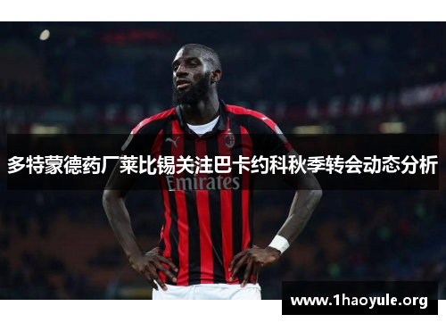 多特蒙德药厂莱比锡关注巴卡约科秋季转会动态分析 多特蒙德药厂莱比锡关注巴卡约科秋季转会动态分析