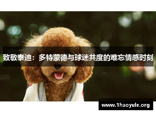 致敬泰迪:多特蒙德与球迷共度的难忘情感时刻 致敬泰迪:多特蒙德与球迷共度的难忘情感时刻