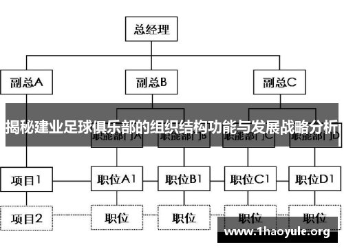 揭秘建业足球俱乐部的组织结构功能与发展战略分析